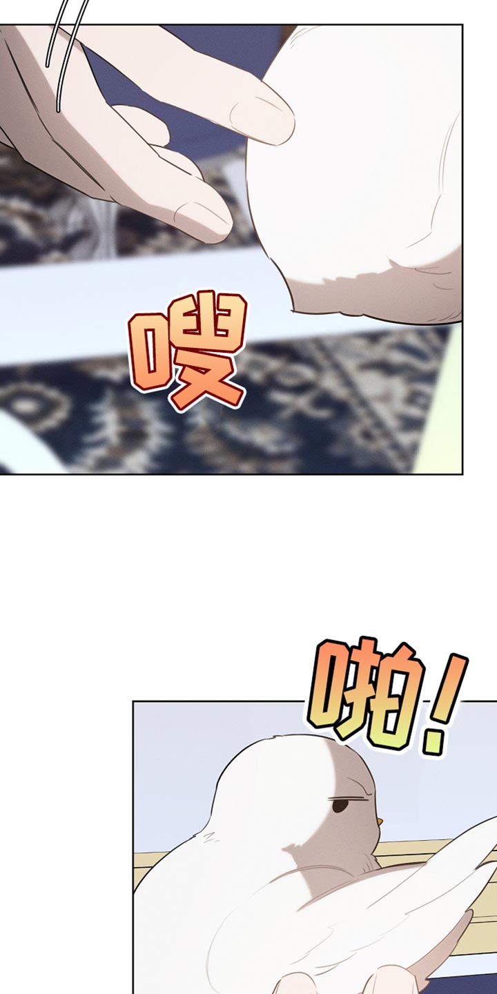 白鸟红酒漫画,第70章：我稍微明白了4图