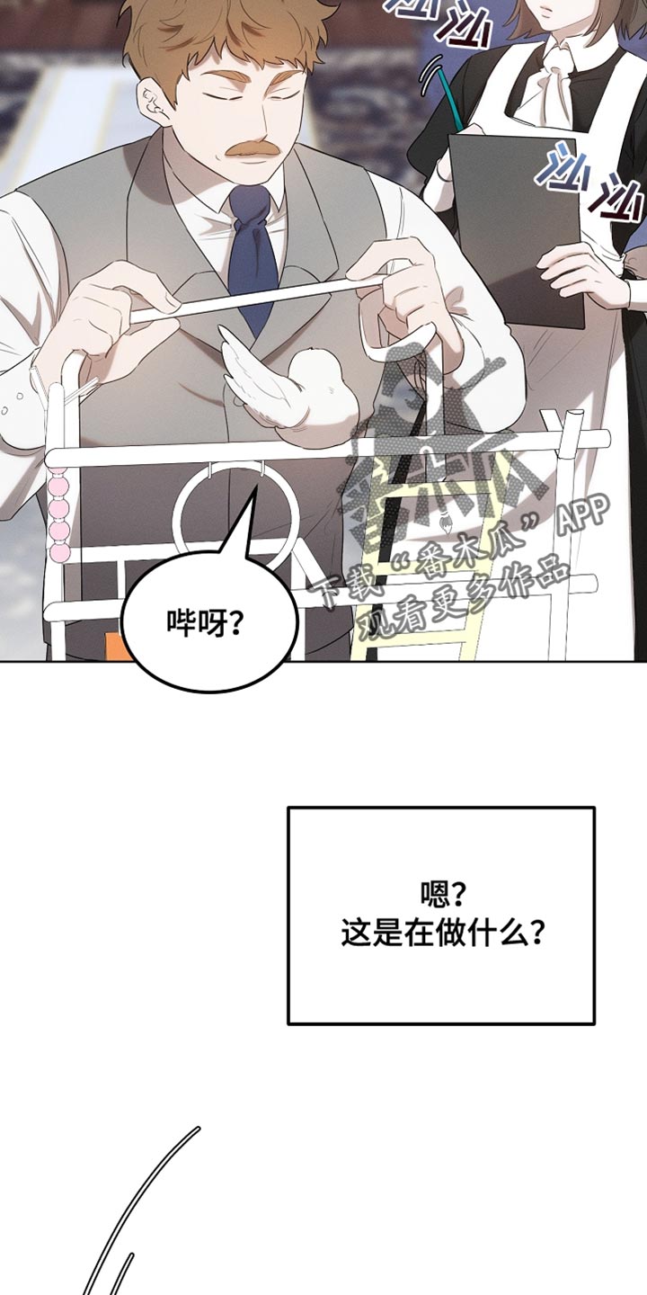 白鸟红酒漫画,第70章：我稍微明白了3图