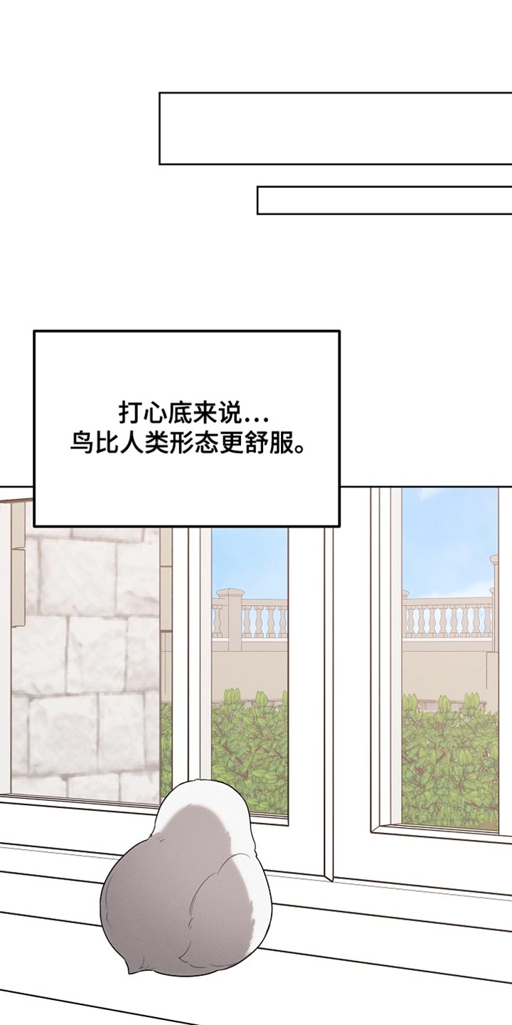 白鸟红酒漫画,第70章：我稍微明白了5图