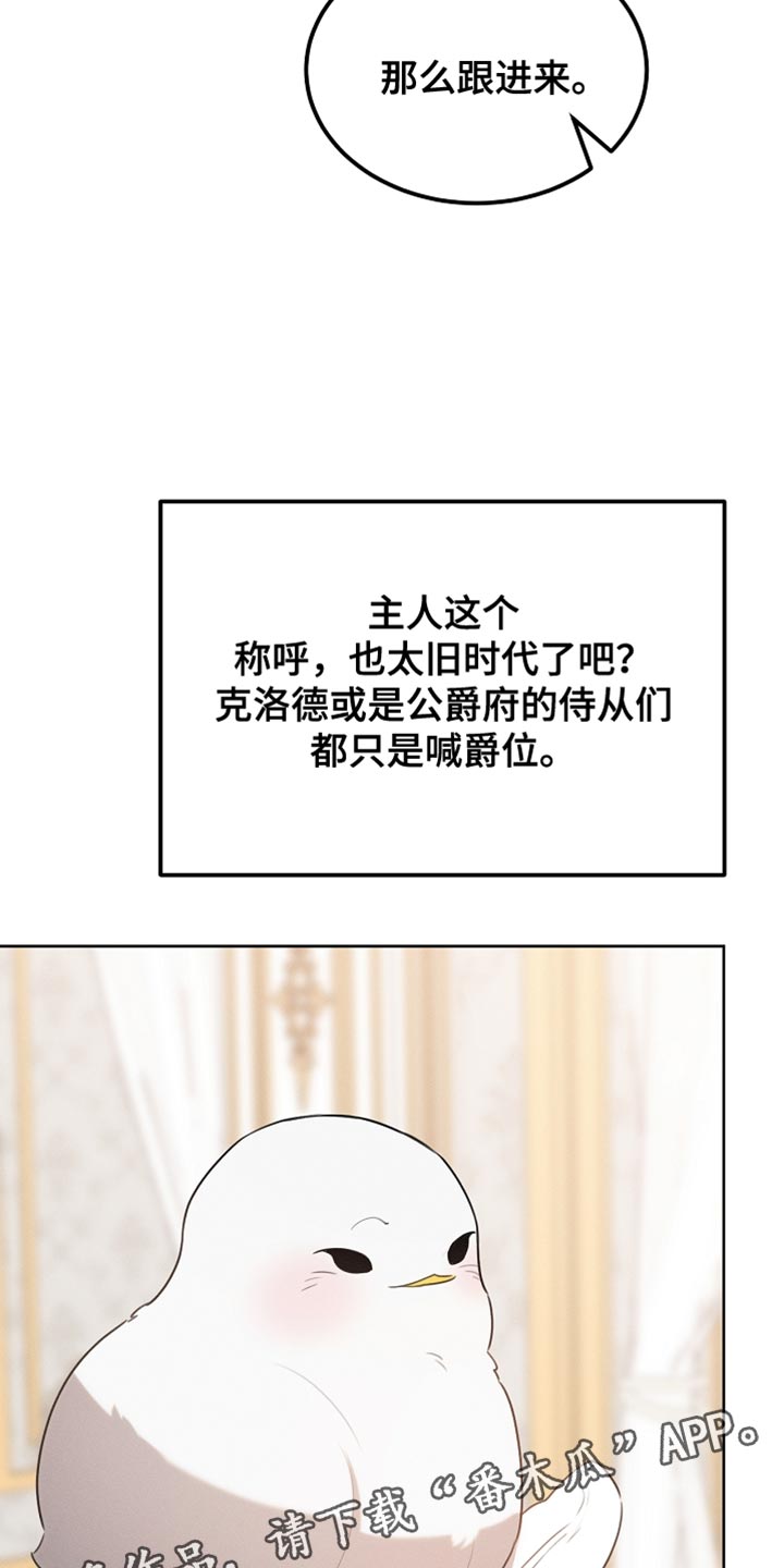 《白鸟奇遇记》简介漫画,第73章：舞蹈1图