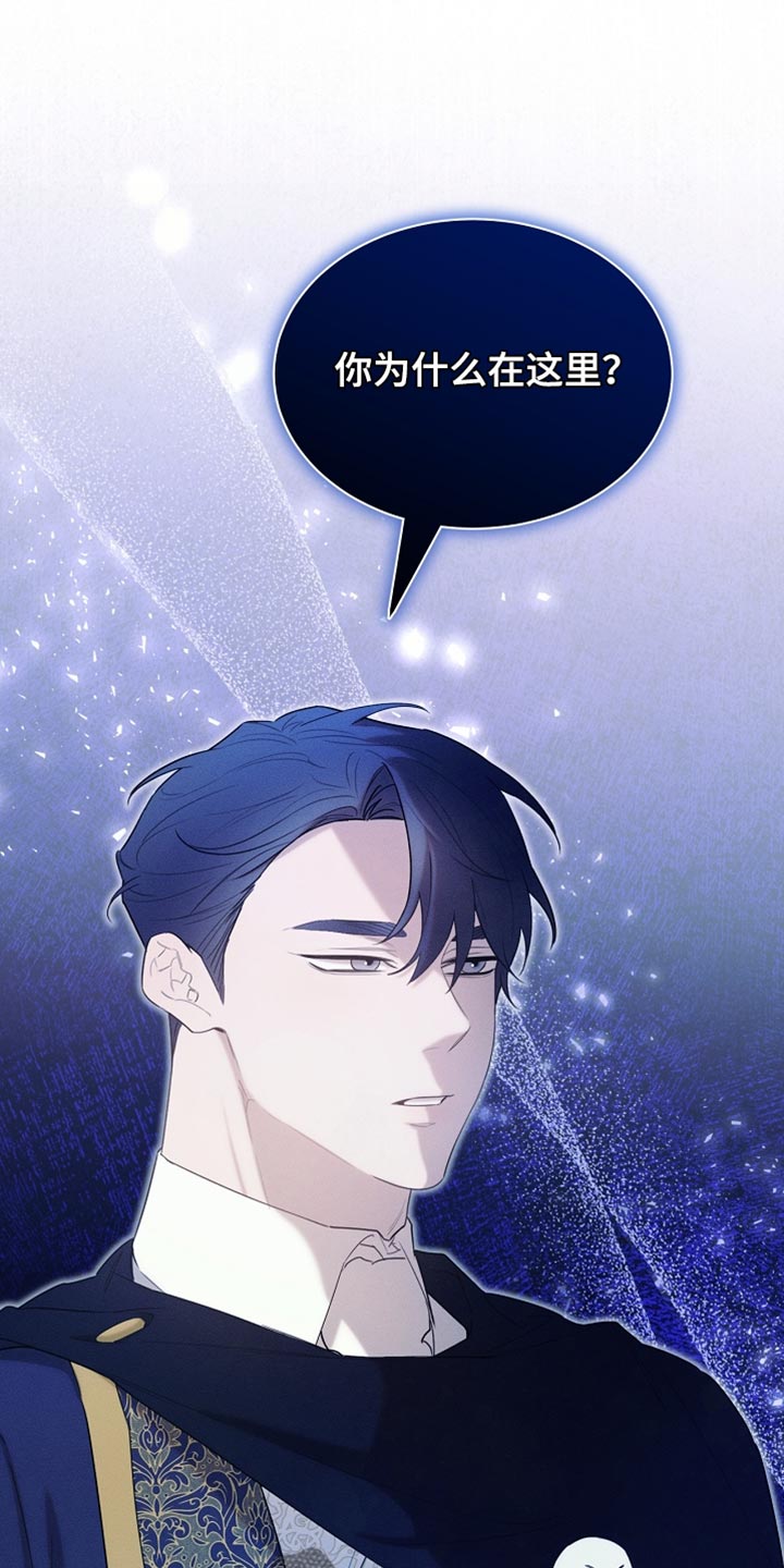 《白鸟奇遇记》简介漫画,第73章：舞蹈2图