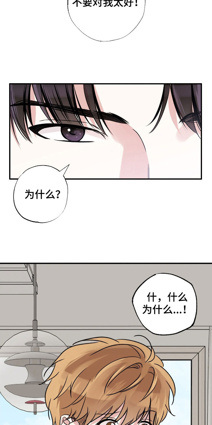 他的专属小狗漫画,第49章：不要对我太好4图