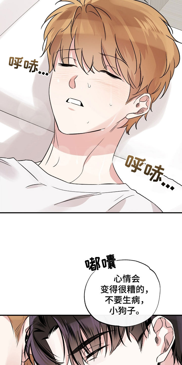 他的专属小狗漫画,第48章：不要生病3图