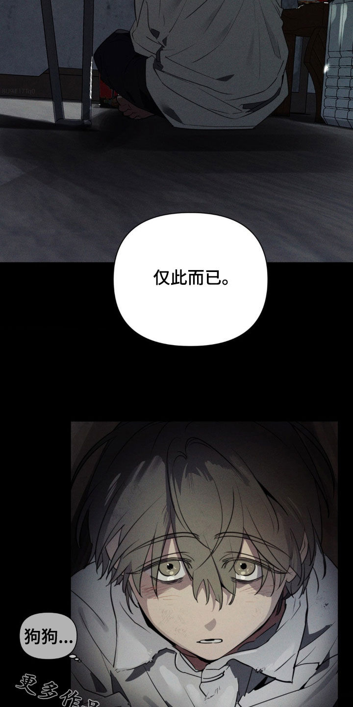 狗与人玩耍照片漫画,第57章：不同种类的爱1图