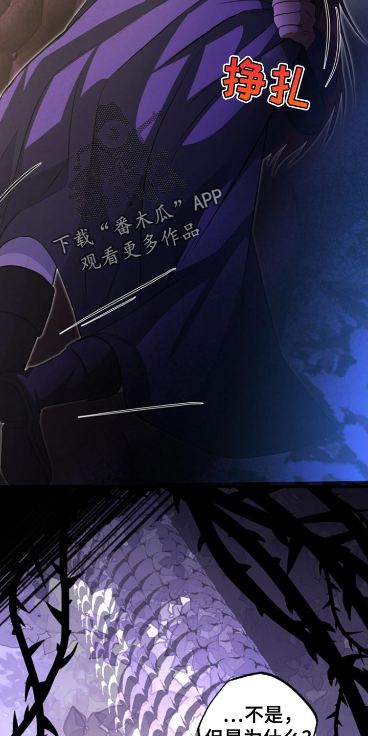 皇家师妲漫画,第53章：明智的选择5图