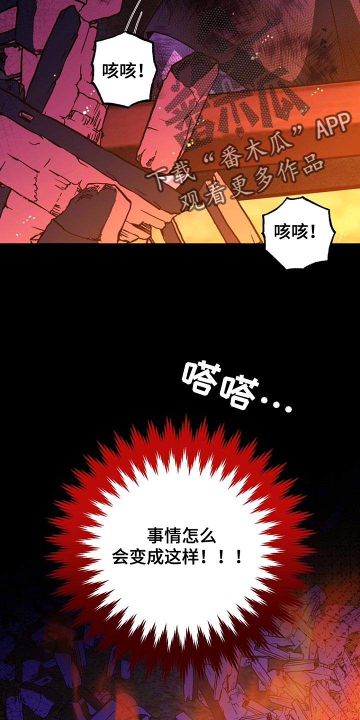 王室教师海涅高清壁纸漫画,第57章：变故4图