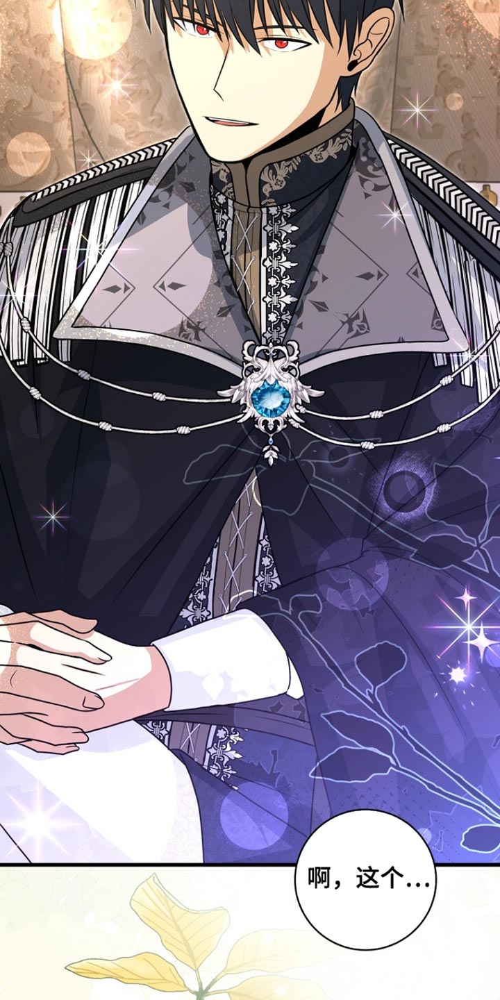 王室教师海涅高清壁纸漫画,第57章：变故4图