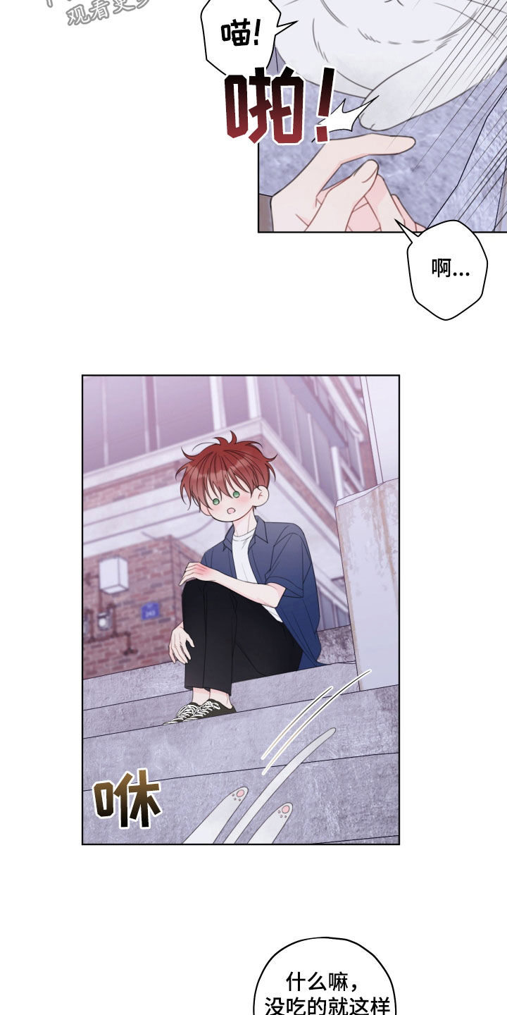 被强行契约之后漫画,第56章：劝告4图