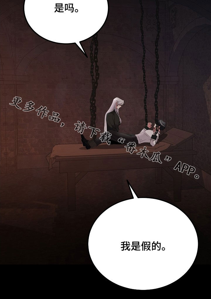 冒牌恋人漫画,第41章：假人2图
