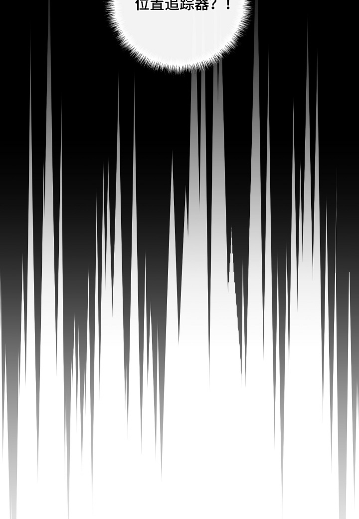 专属搓澡工漫画,第69章：追踪器2图