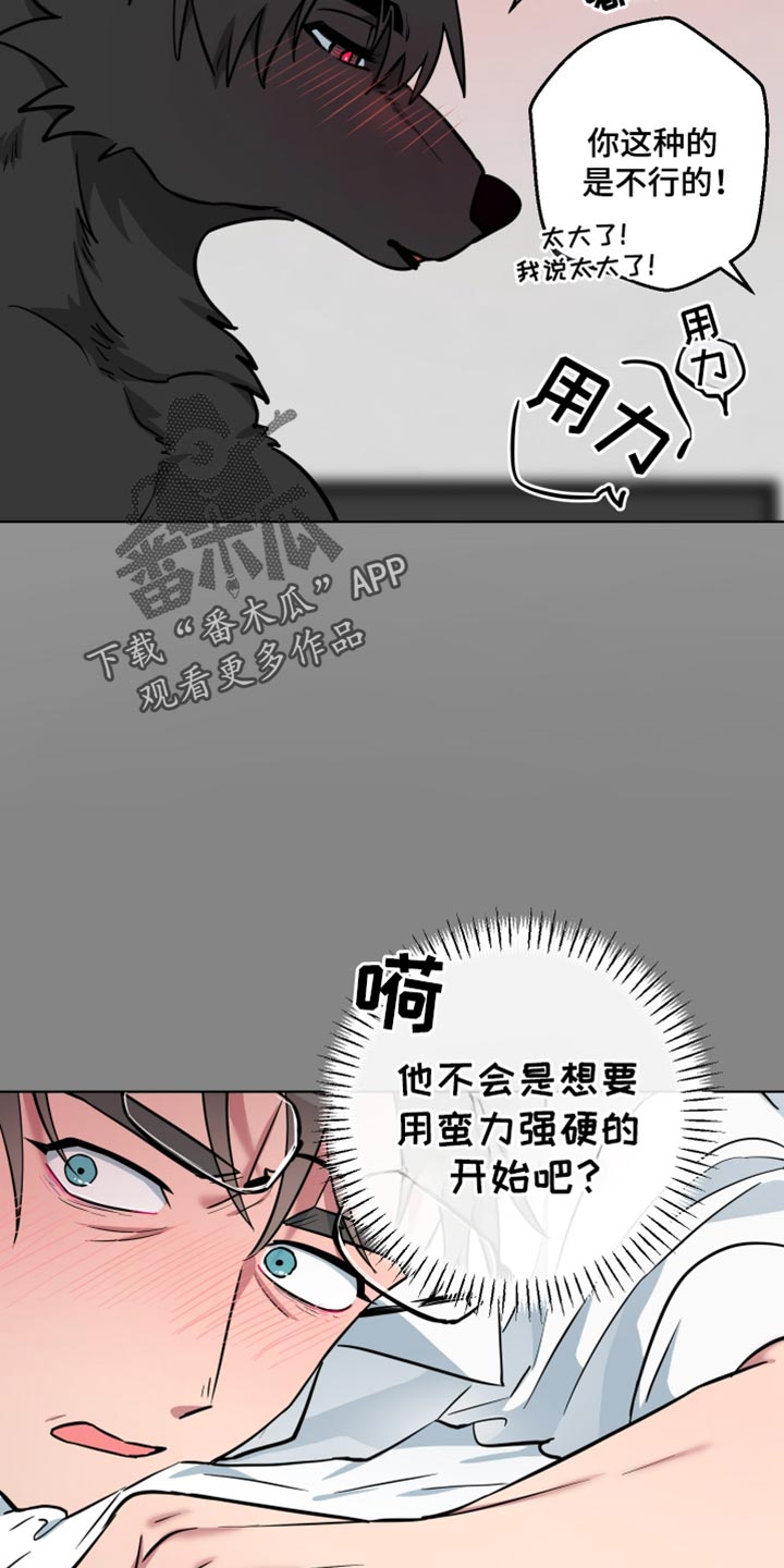 狼狼深藏不露漫画,第19章：不用帮我4图