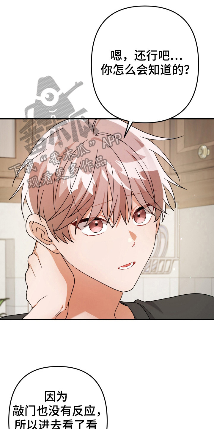 灰熊的玫瑰住宅漫画,第49章：气氛3图