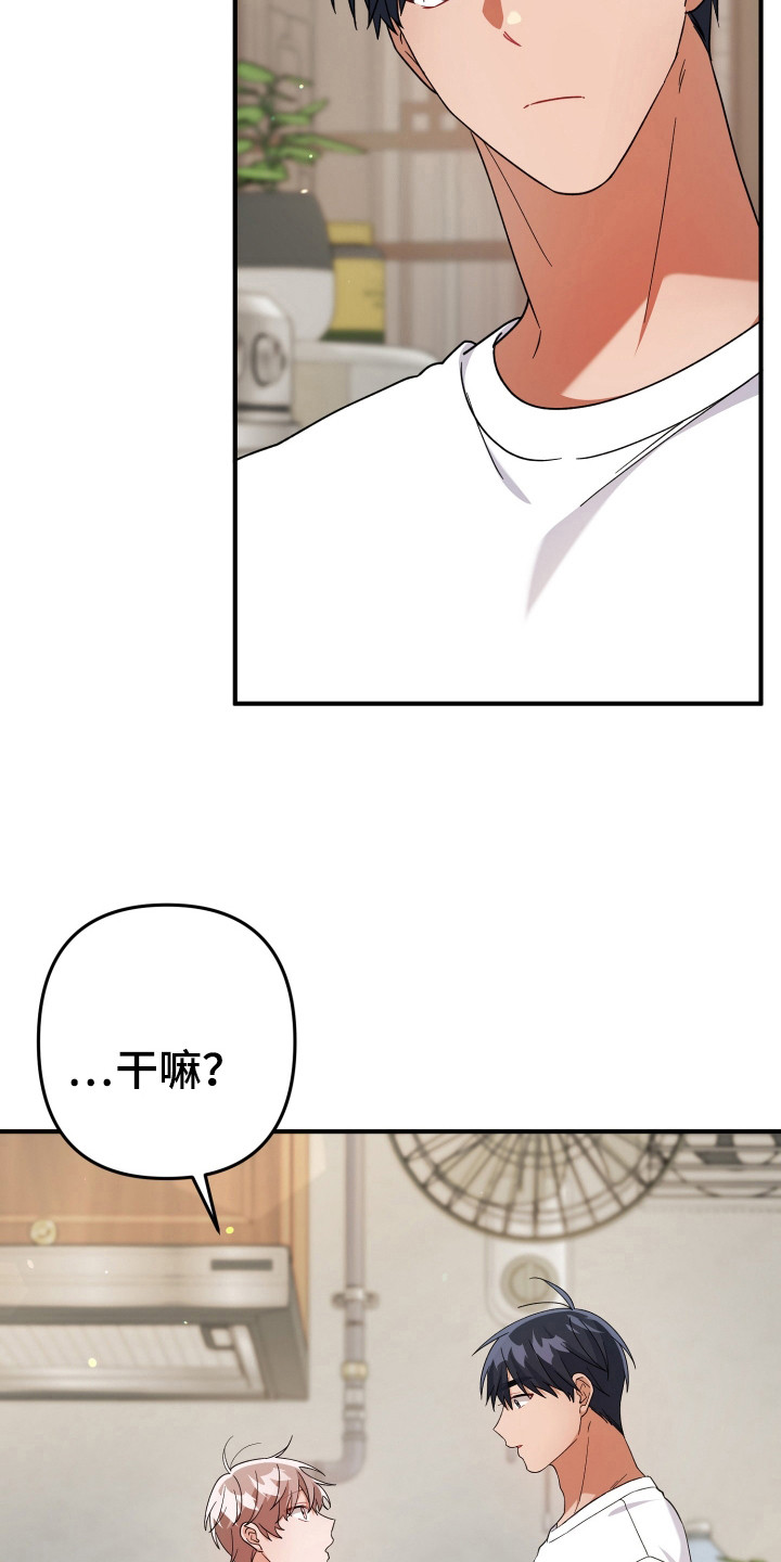 灰熊的玫瑰住宅漫画,第49章：气氛3图