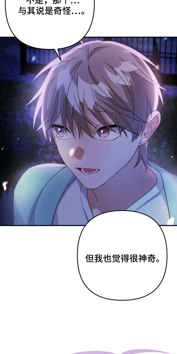 灰熊的玫瑰住宅漫画,第43章：来源5图