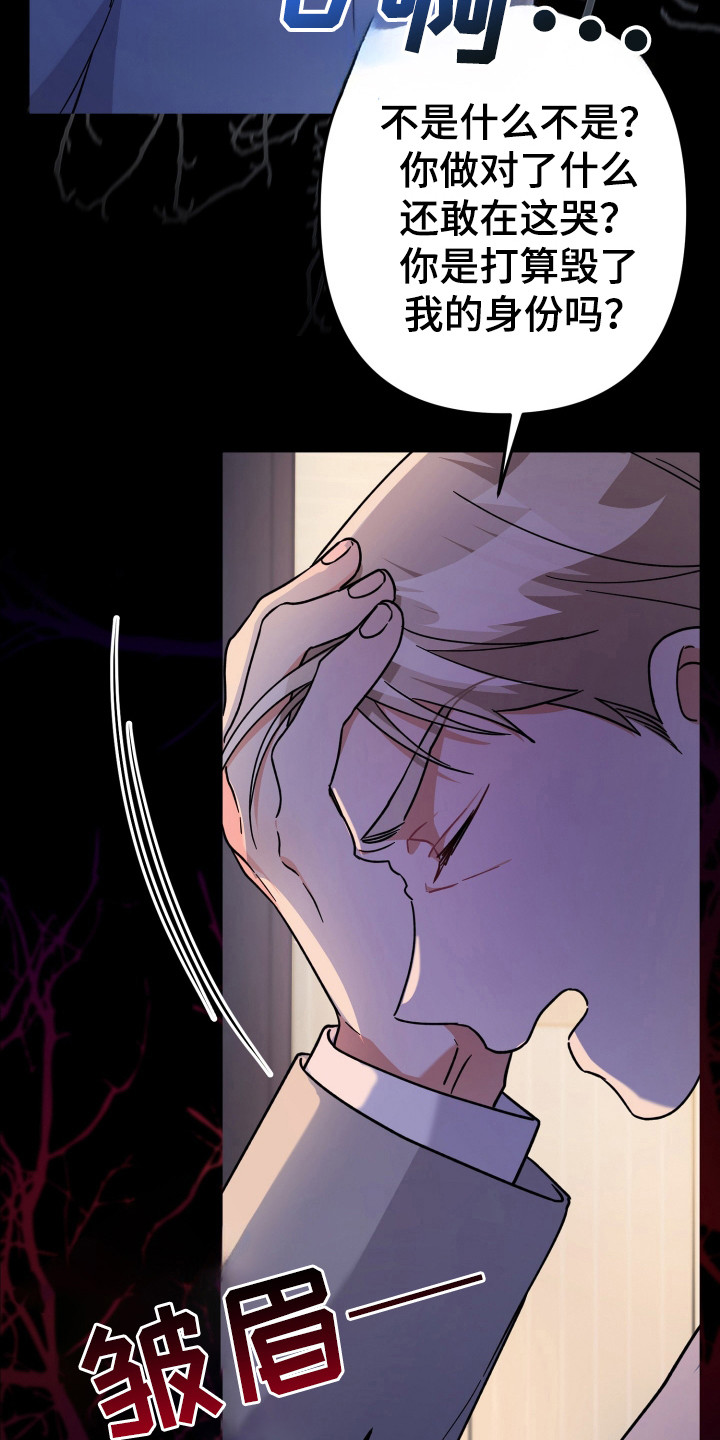 灰熊的玫瑰住宅免费漫画,第48章：斥责1图