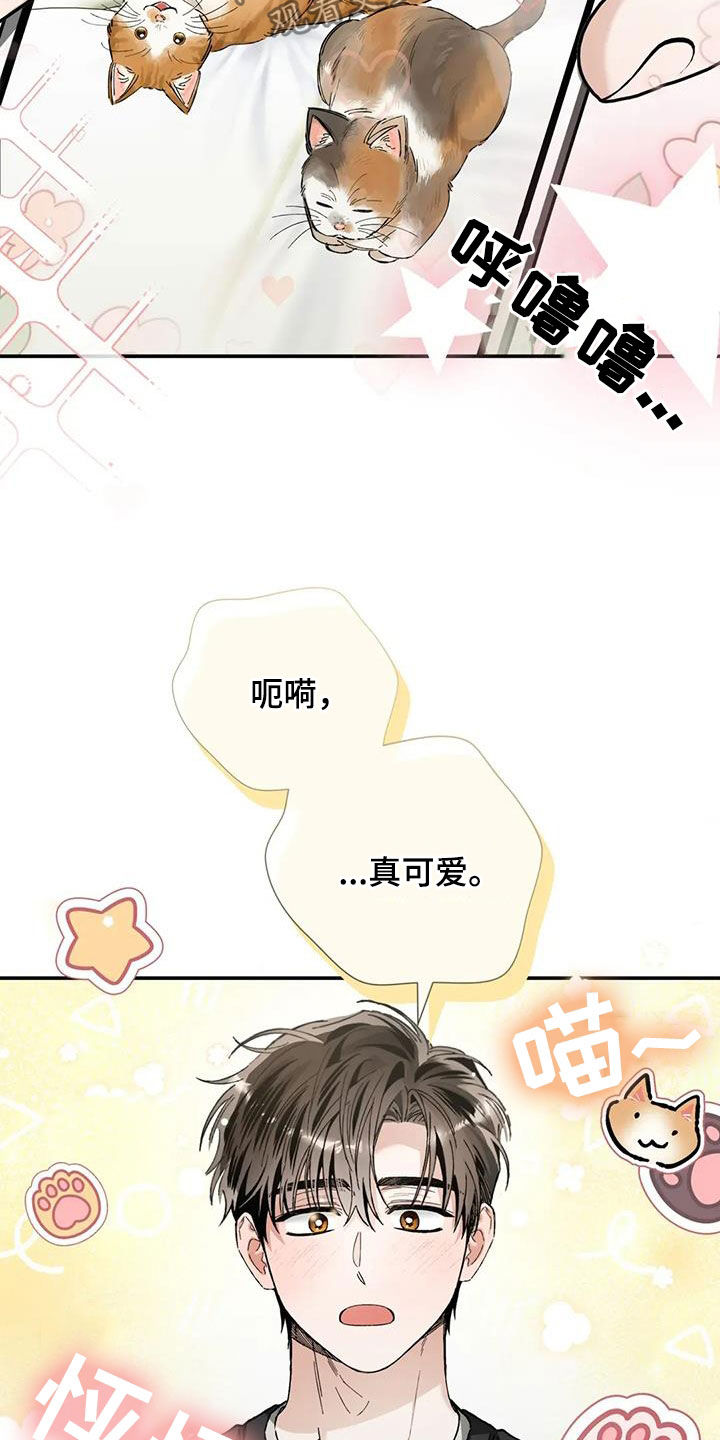 把我的命运还给我漫画,第46章：无私的爱2图
