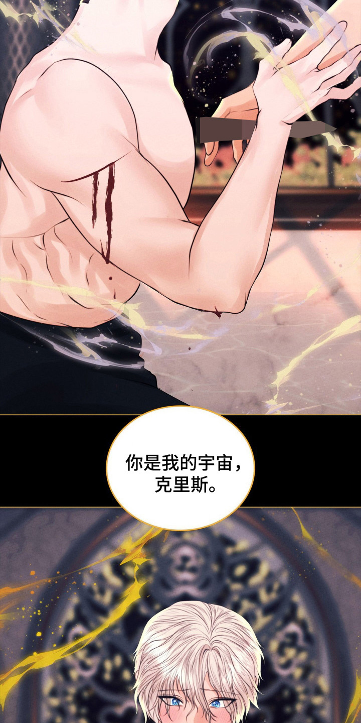 歌剧邪影漫画,第56章：命运伴侣1图