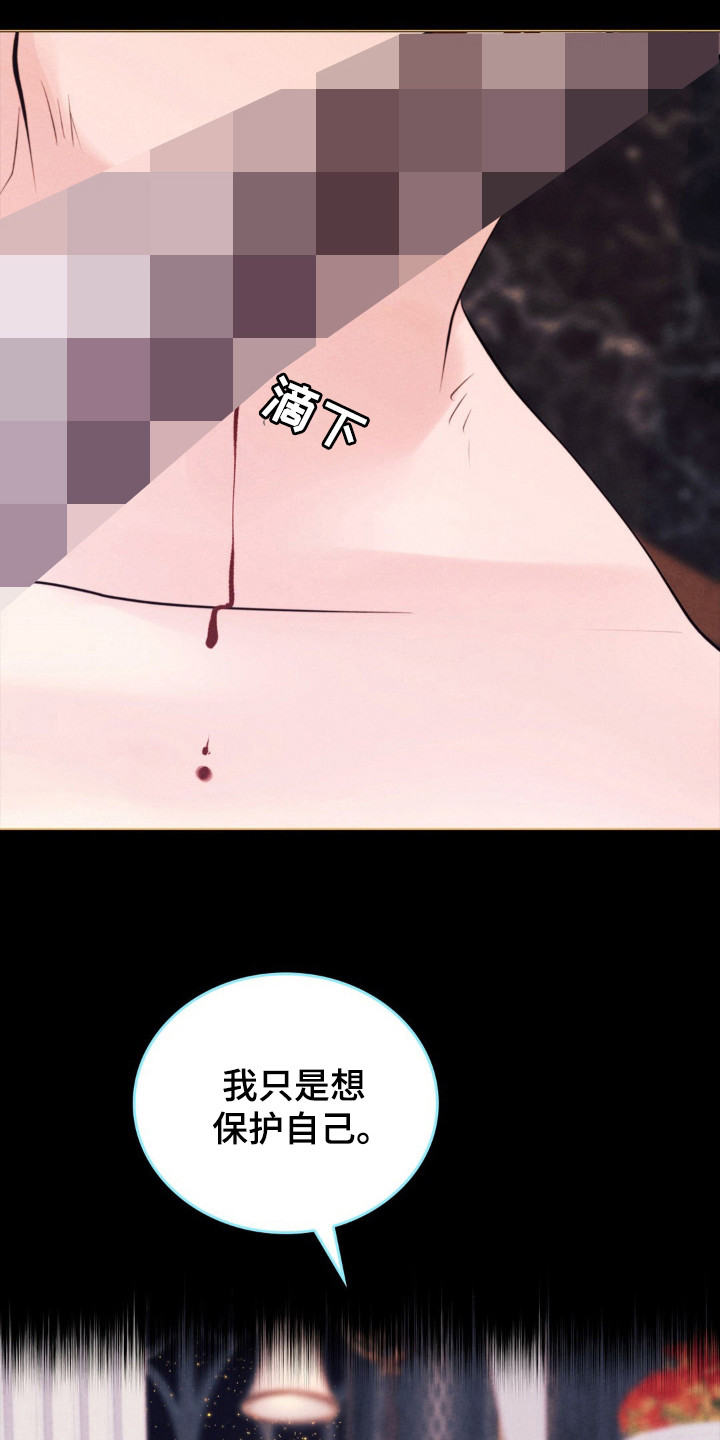 歌剧邪影漫画,第57章：是梦想2图