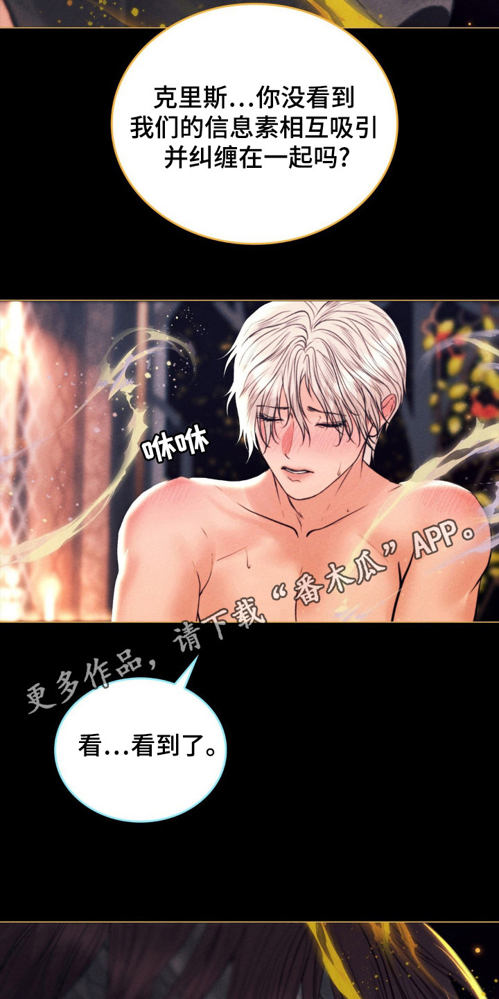 歌剧邪影漫画,第56章：命运伴侣3图