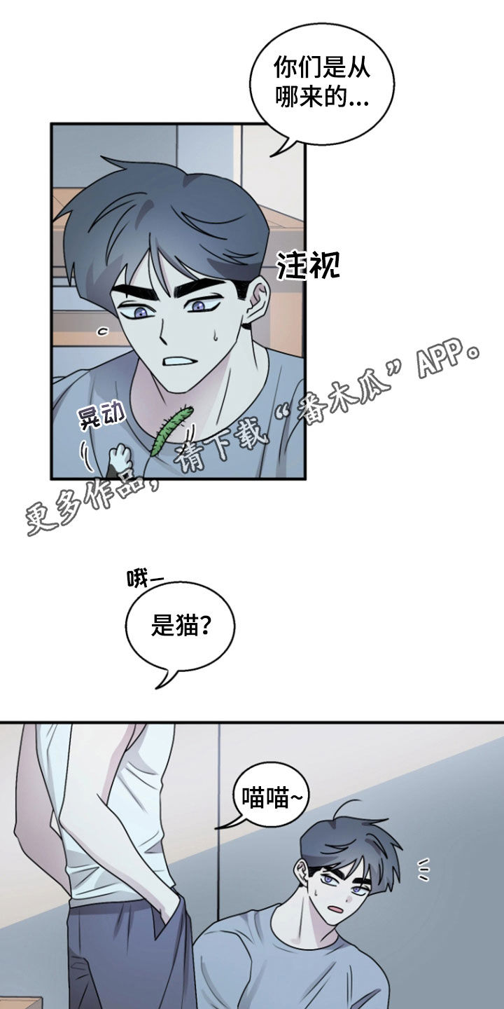 第38章：不感兴趣0