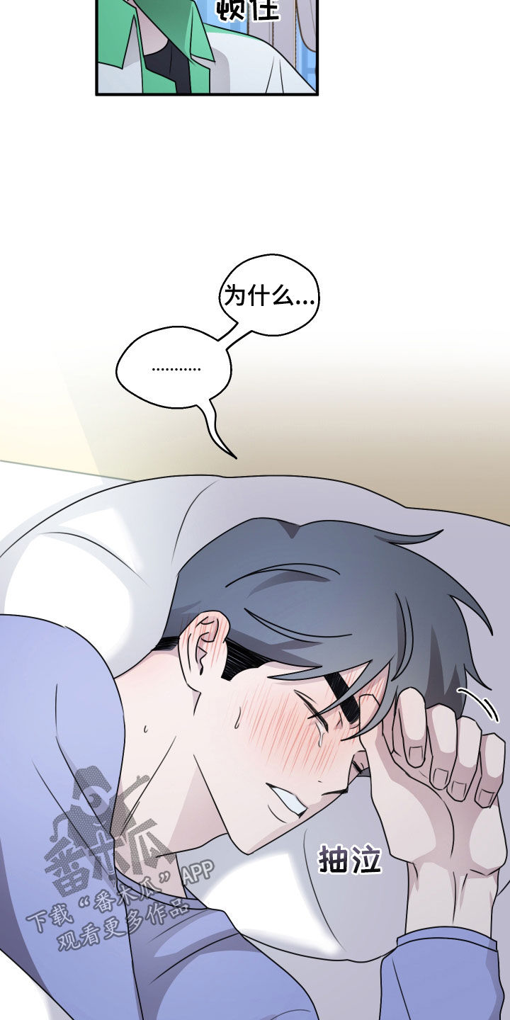 第41章：为什么喜欢我1
