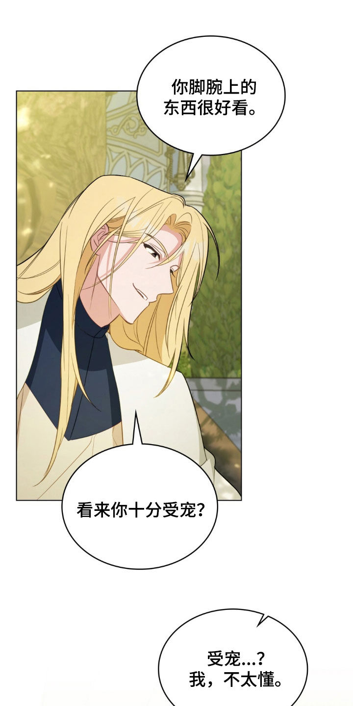 救赎我吧美人鱼漫画,第60章：召见4图