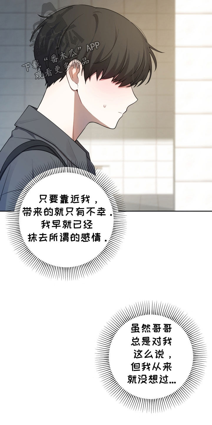 初恋彩哥大乐透预测漫画,第41章：一见钟情4图