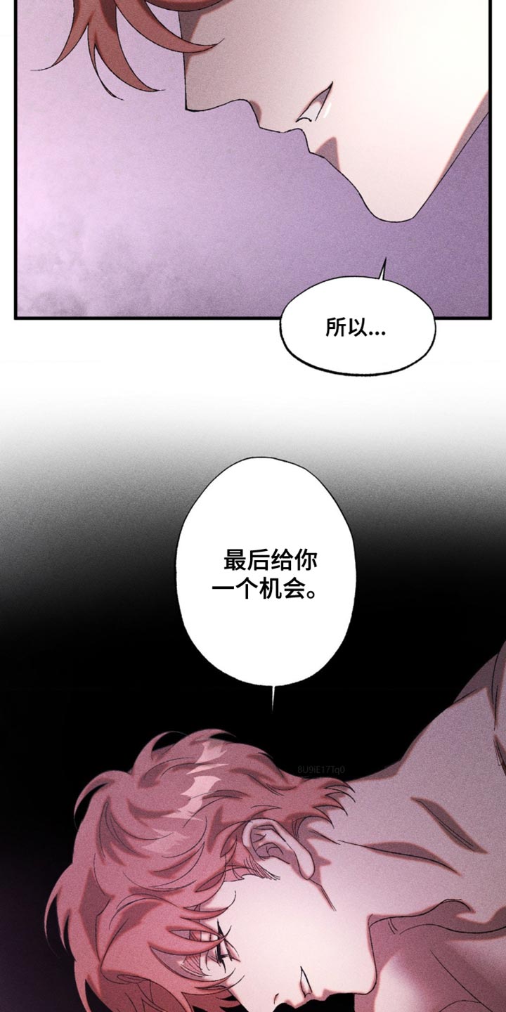 第37章：最后一个机会4