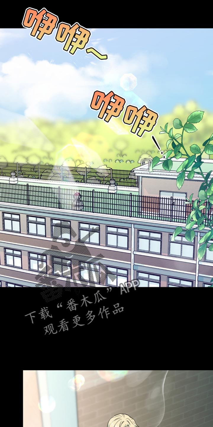 互补英文漫画,第42章：微妙的视线5图