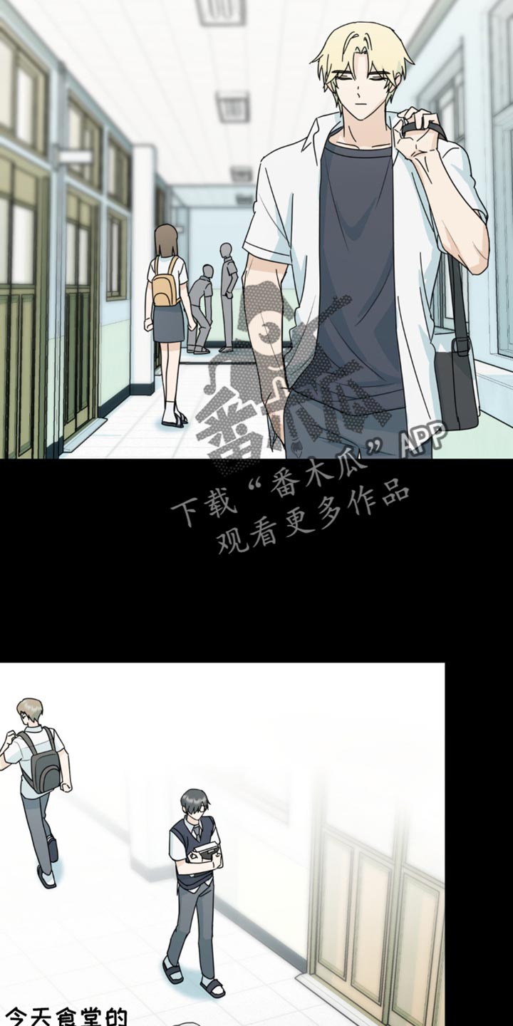 互补英文漫画,第42章：微妙的视线2图