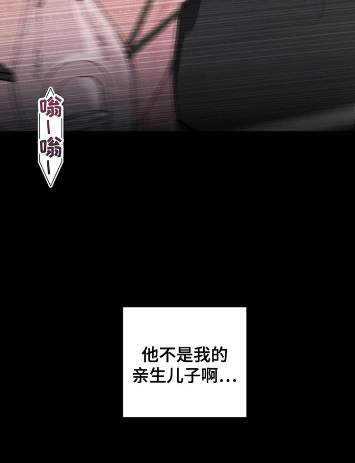 反向占据漫画,第34章：不是亲生儿子2图