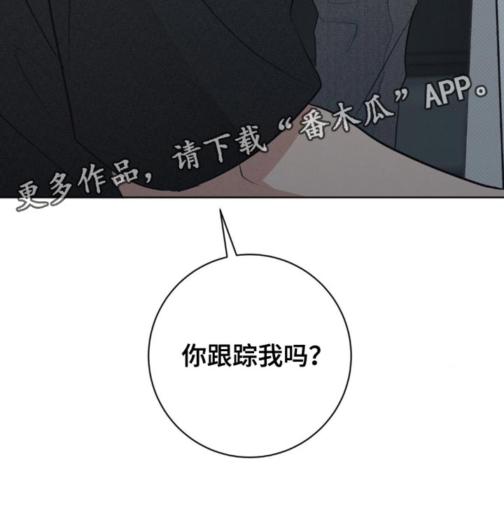 迟来的伴侣漫画,第36章：你跟踪我吗？5图