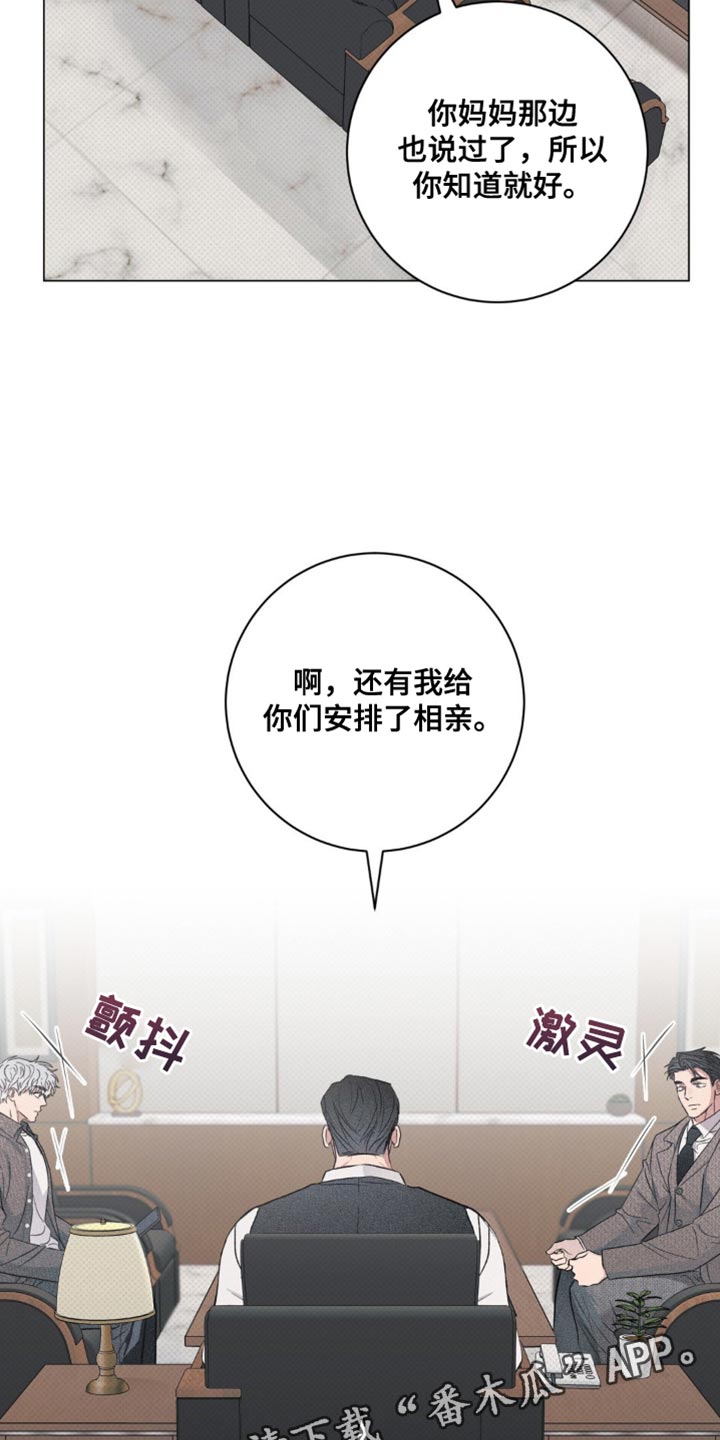 迟来的深情漫画,第34章：安排了相亲3图