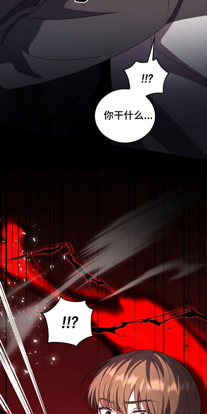 双重血脉能力者漫画漫画,第52章：打架5图