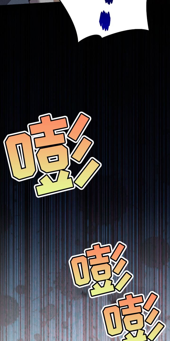 向导自救指南by白鹭全文阅读免费漫画,第46章：黑天鹅2图