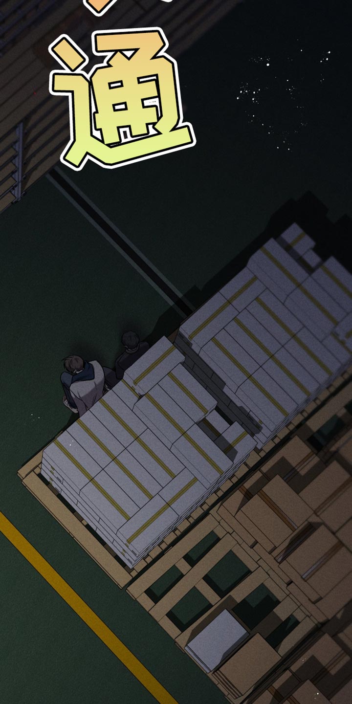 向导自救指南by白鹭全文阅读免费漫画,第46章：黑天鹅5图