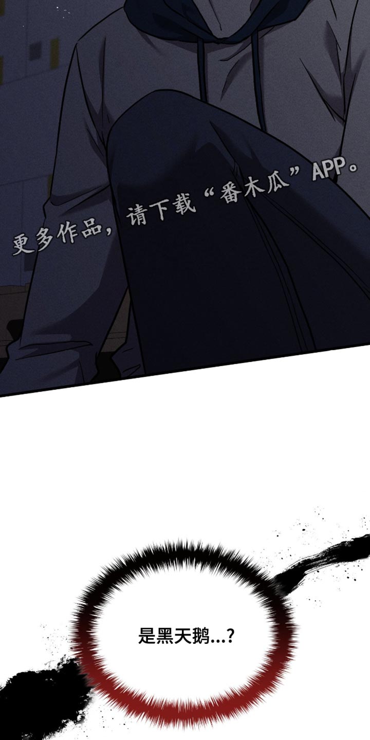 向导自救指南by白鹭全文阅读免费漫画,第46章：黑天鹅3图