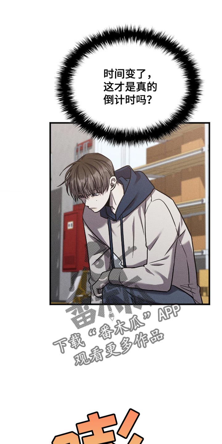 向导自救指南by白鹭全文阅读免费漫画,第46章：黑天鹅5图