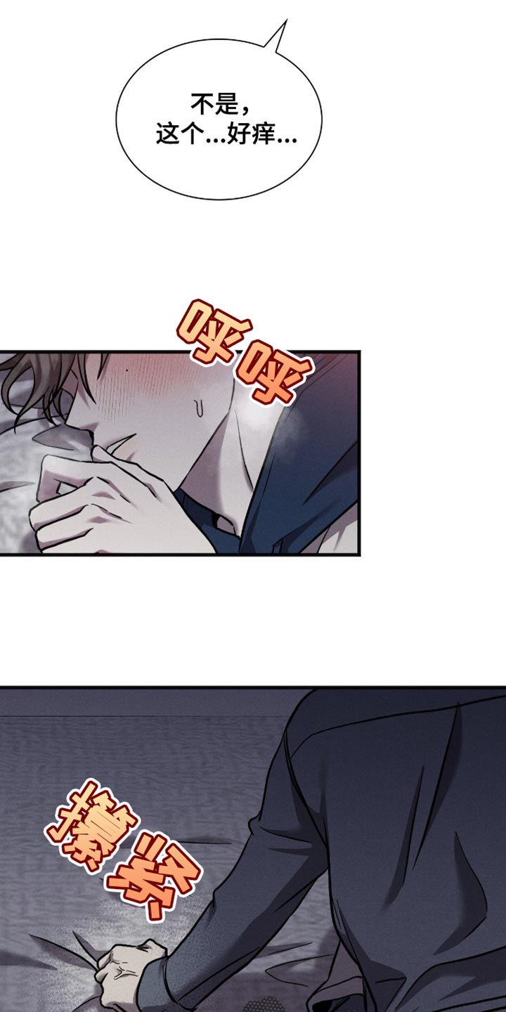 向导自救指南by白鹭全文阅读免费漫画,第49章：我的秘密4图