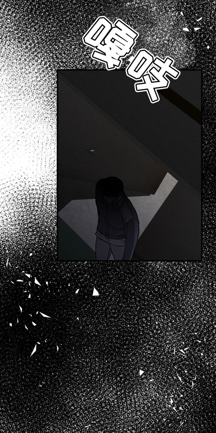 向导自救指南by白鹭全文阅读免费漫画,第46章：黑天鹅2图