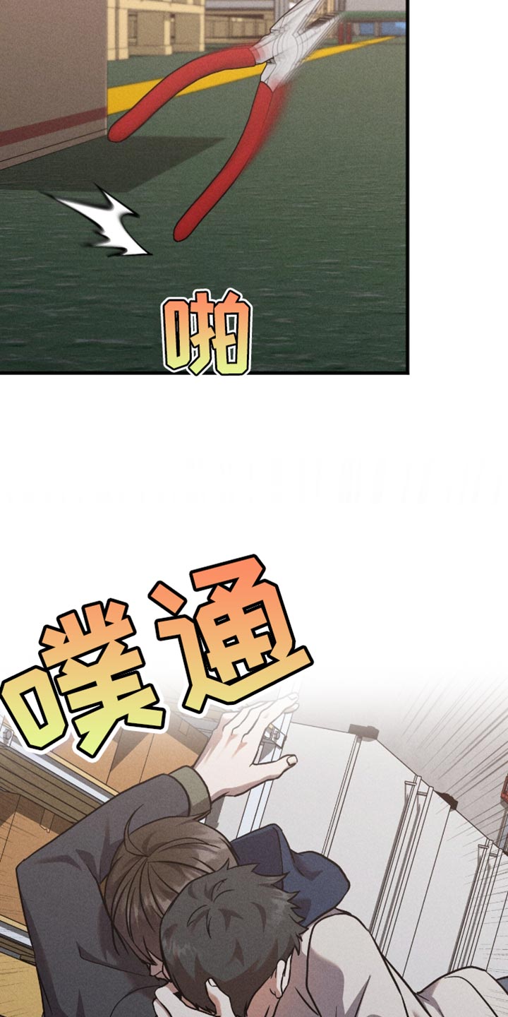 向导自救指南by白鹭全文阅读免费漫画,第46章：黑天鹅2图