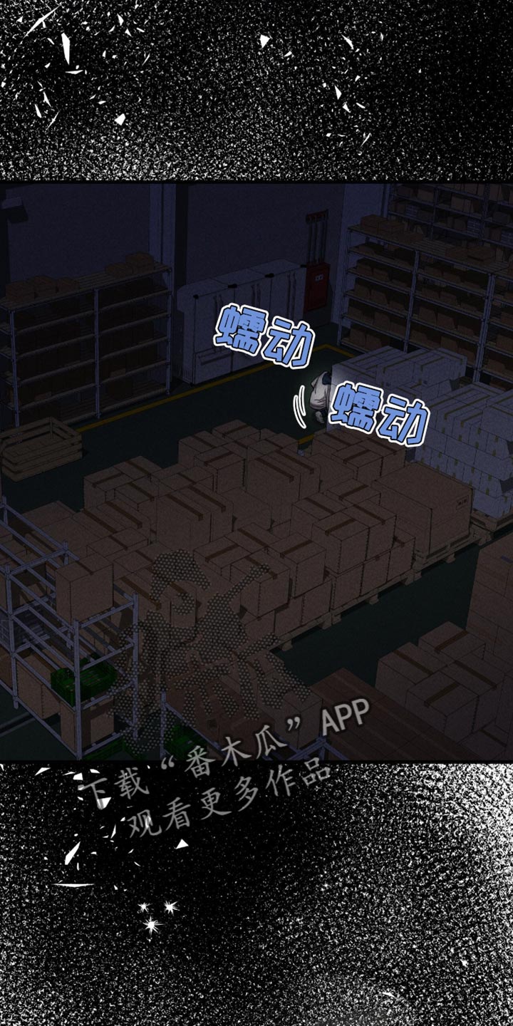 向导自救指南by白鹭全文阅读免费漫画,第46章：黑天鹅1图