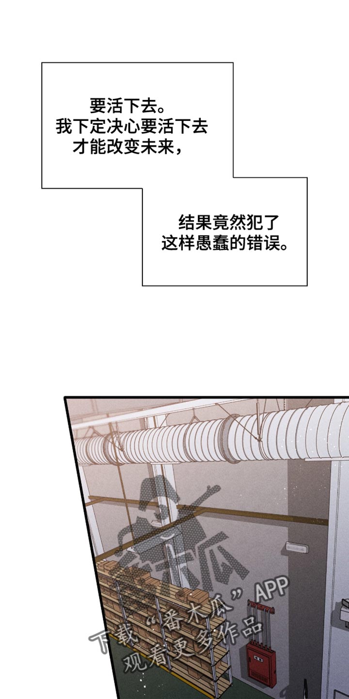 向导自救指南by白鹭全文阅读免费漫画,第46章：黑天鹅4图