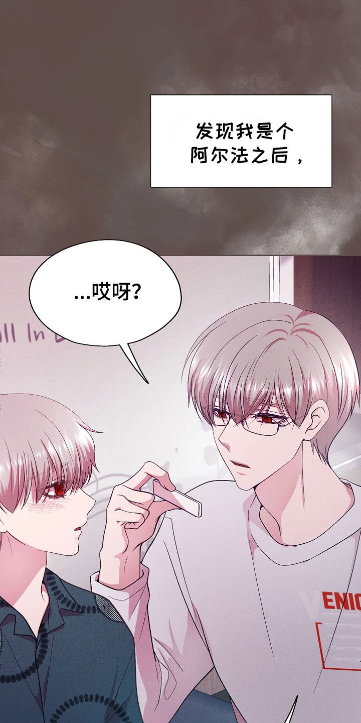 命运伴侣漫画,第54章：研究素材5图