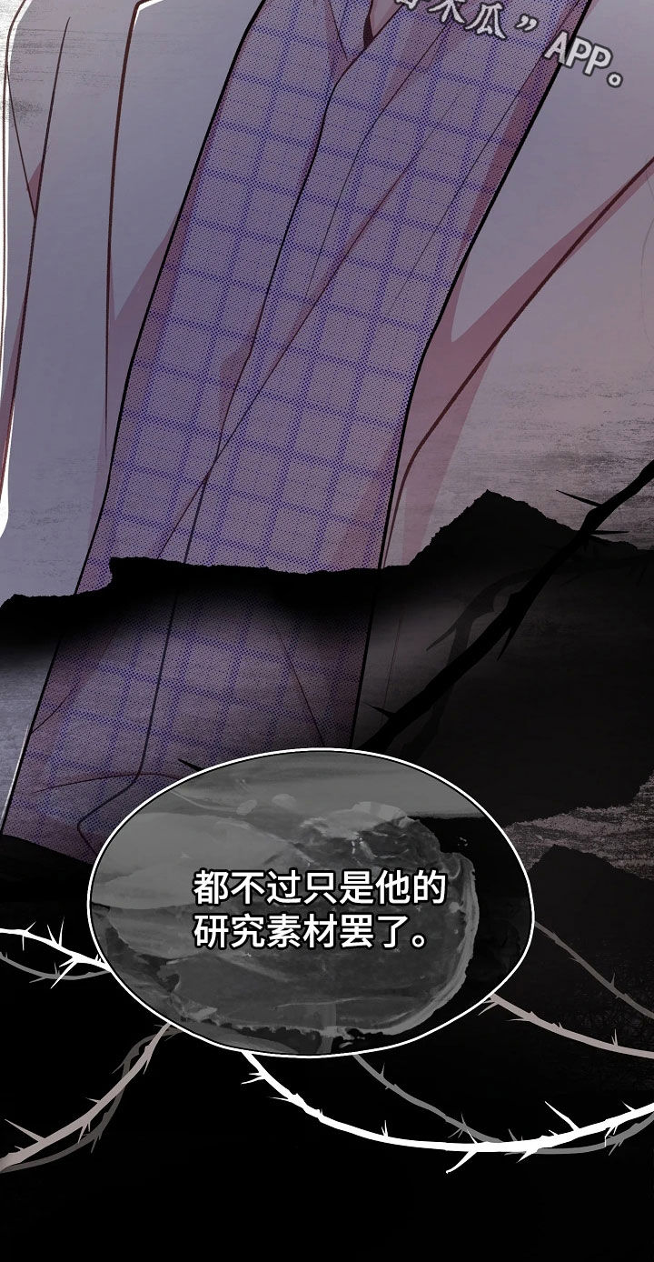 命运伴侣漫画,第54章：研究素材5图
