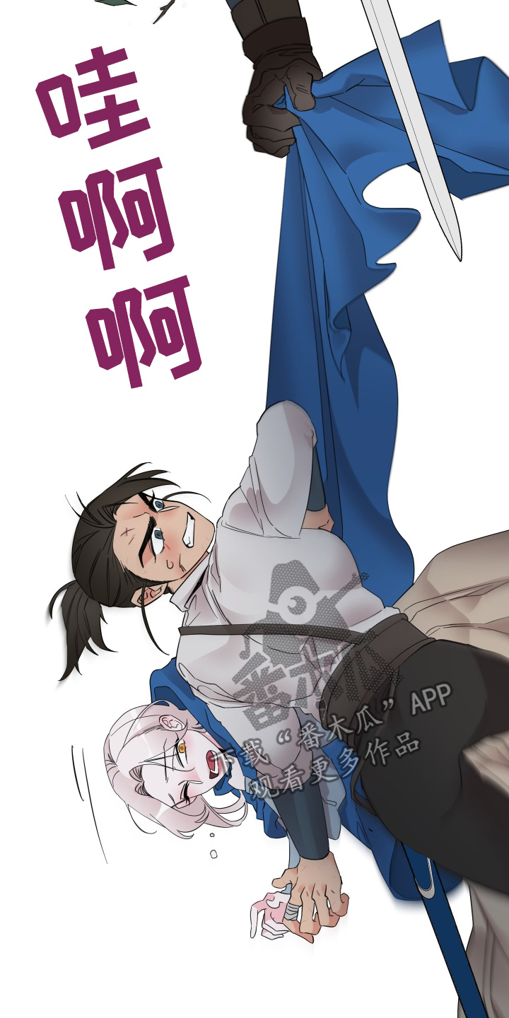 守护我女骑士漫画,第28章：交战4图