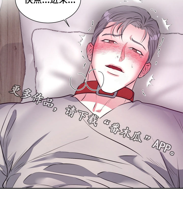 红蛇梦魇漫画,第28章：我现在很着急1图