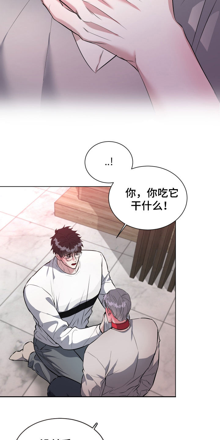 红蛇梦魇漫画,第28章：我现在很着急3图
