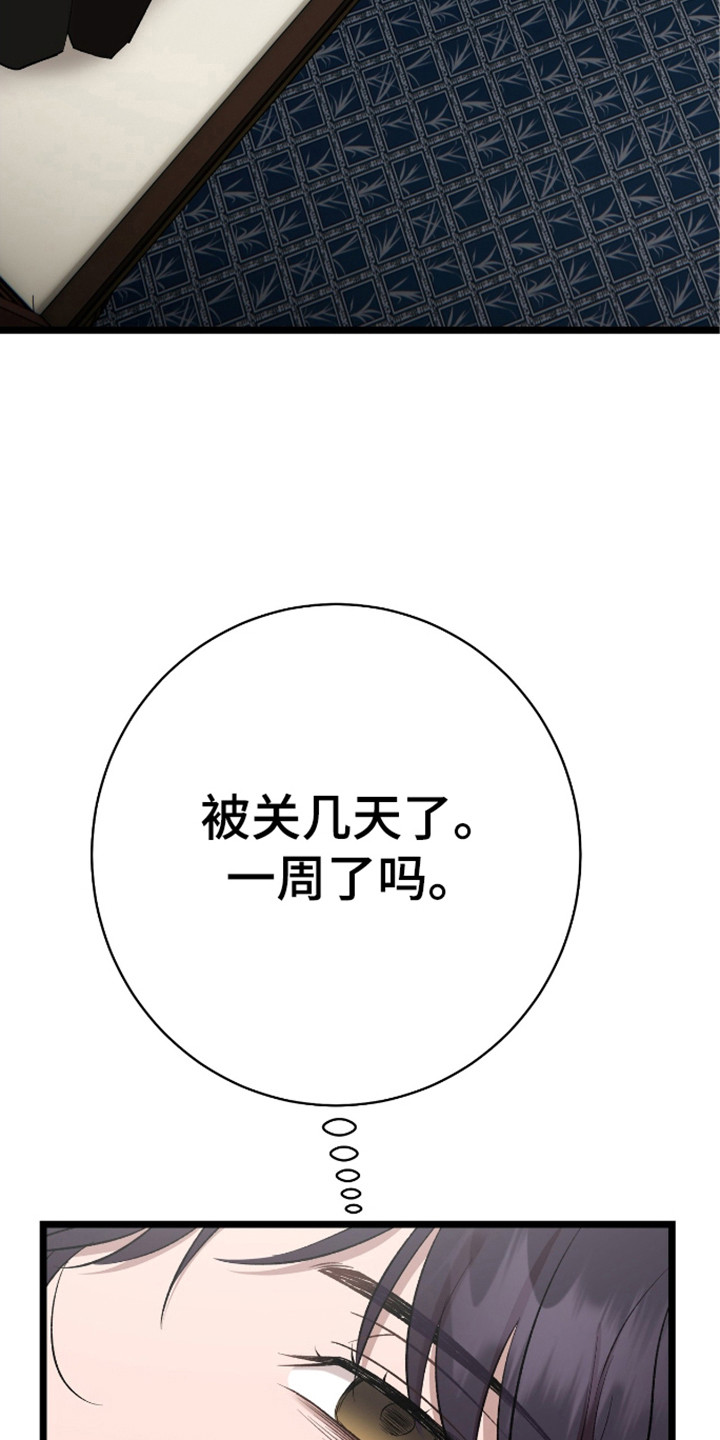 红玉天香漫画,第29章：阴险的人4图