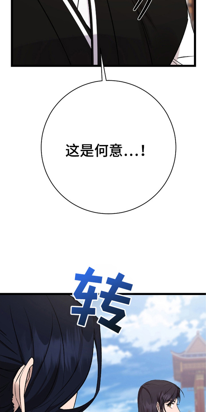 红玉天香漫画,第28章：掌门人2图